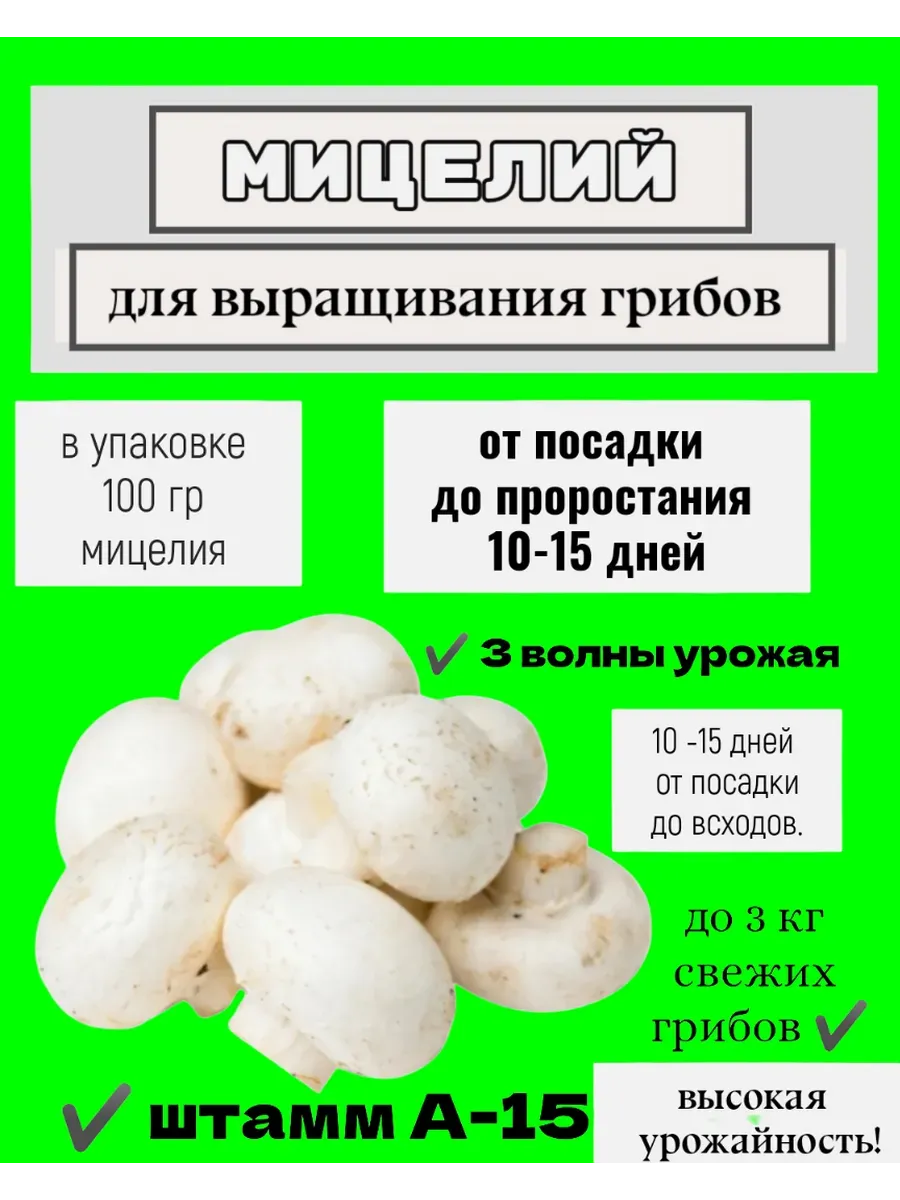 Мицелий для выращивания грибов шампиньоны