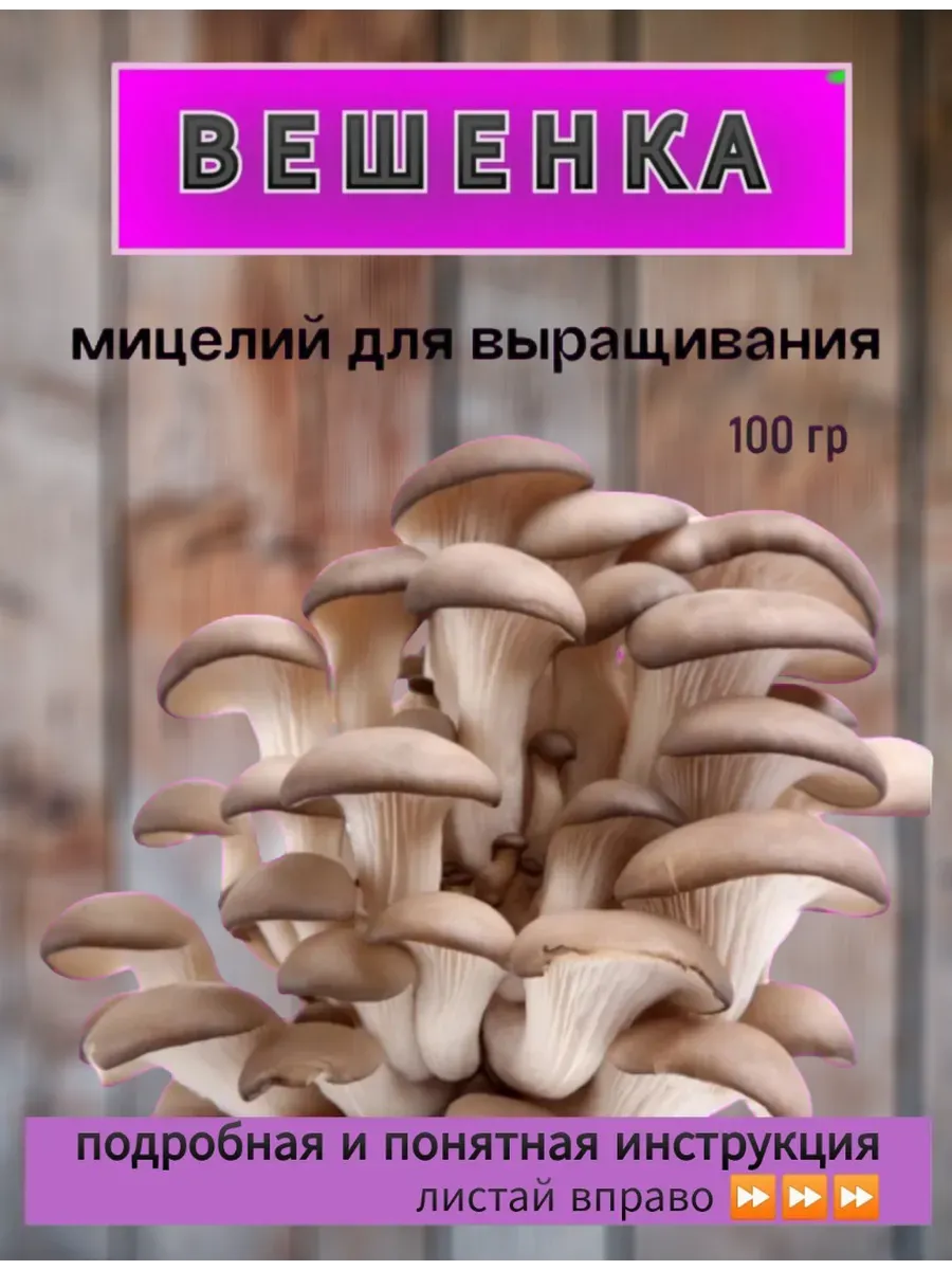 Мицелий для выращивания грибов дома 100 гр
