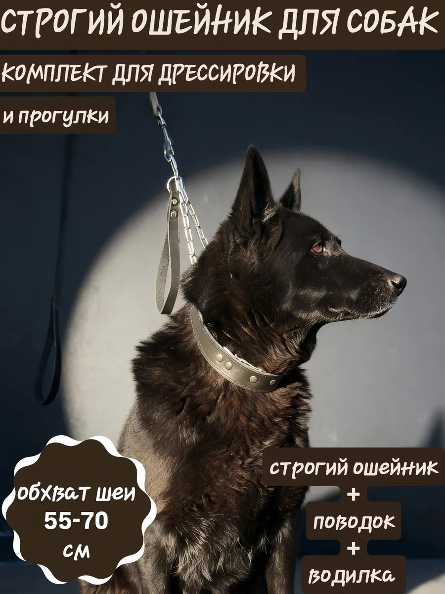 строгий дрессировочный ошейник для собак с петлёй