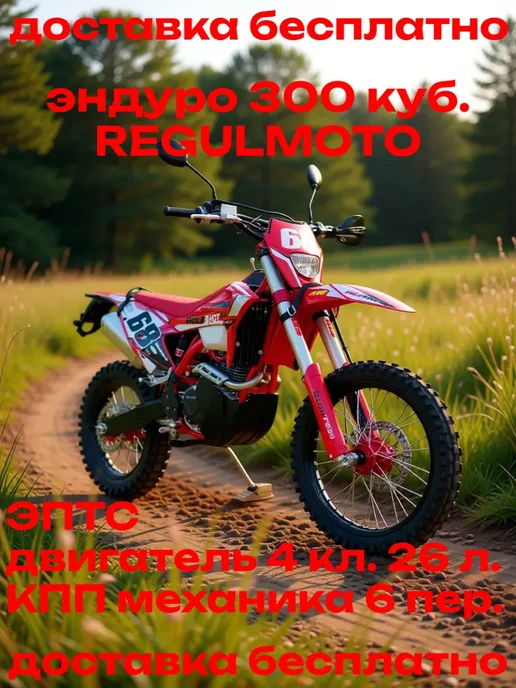 Мотоцикл Regulmoto Holeshot Red Edition (4 valves) с ПТС, красный
