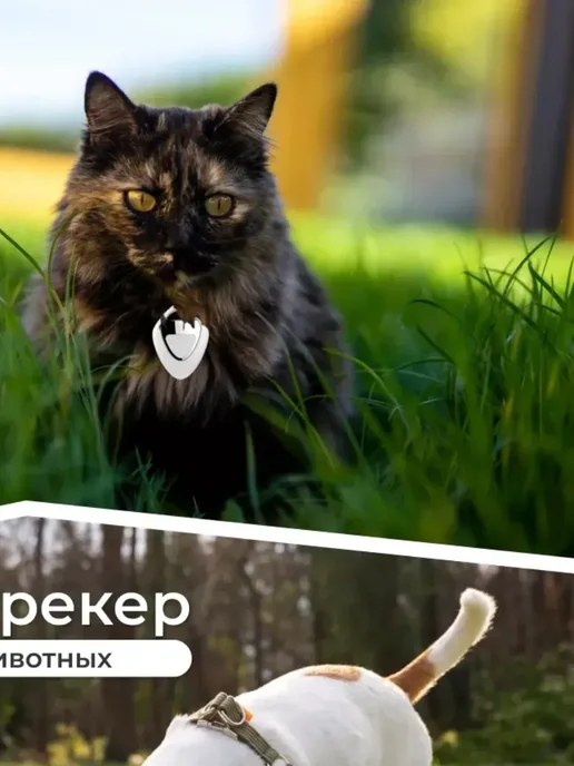 Трекер отслеживания для iPhone белый, белый, фото 5