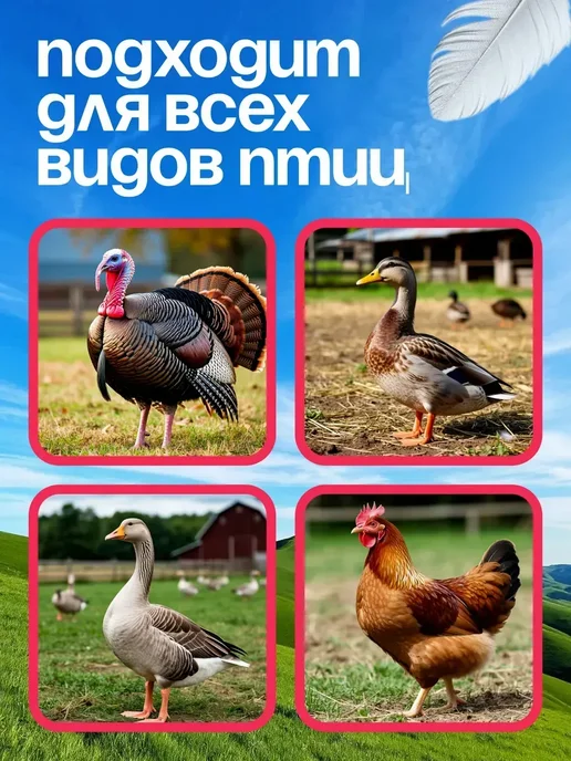 Gorec Перосъемная машина для удаления перьев, волосков птиц, черный, фото 4
