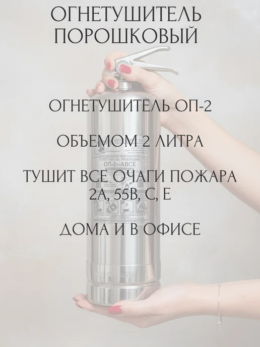 Огнетушитель порошковый для автомобиля и дома интерьерный, вариант, фото 2