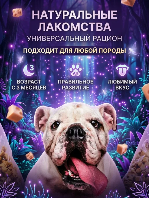 Dog-Pet Сырные кубики для дрессировки собак и кошек, 1 кг, 1 кг, фото 3