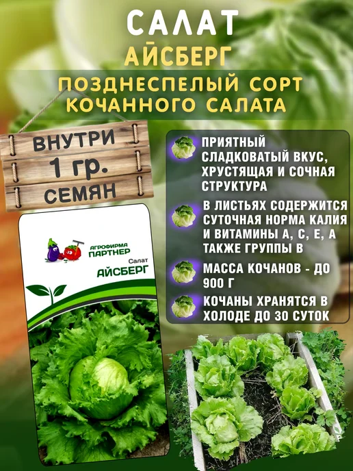 Агрофирма Партнер Семена зелени укроп, петрушка, салат листовой и качаный 4уп, зеленый, фото 2