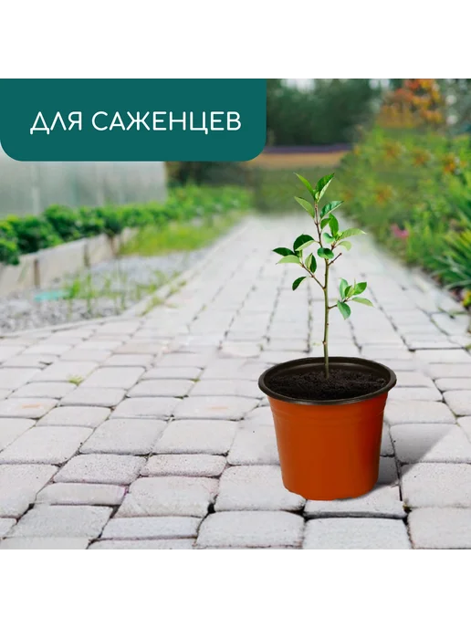 Market_Сад Горшок для рассады, 1,7 л, d = 16 см, h = 13,5 см, 1,7 л, фото 3