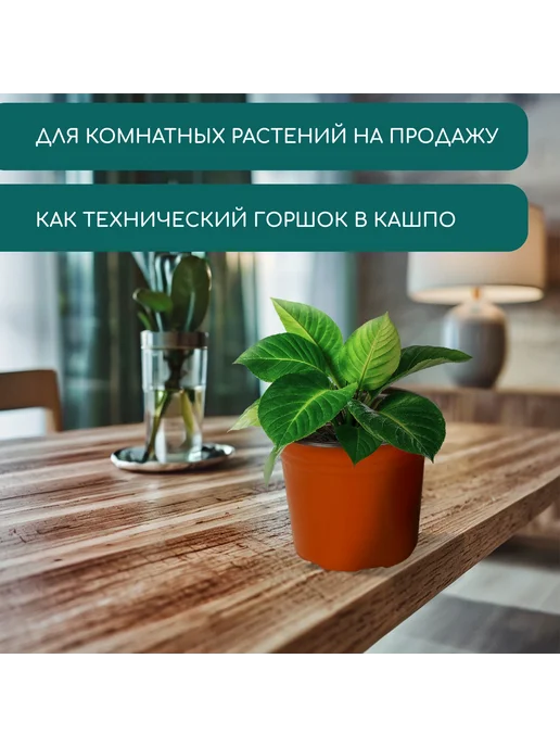 Market_Сад Горшок для рассады, 1,7 л, d = 16 см, h = 13,5 см, 1,7 л, фото 4