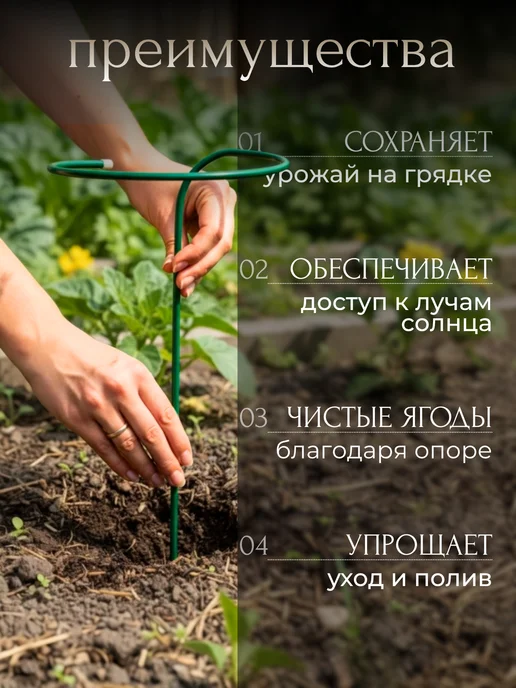 Дачное Царство Опора для комнатных цветов и растений 60 15см 10шт, 10 шт, фото 3