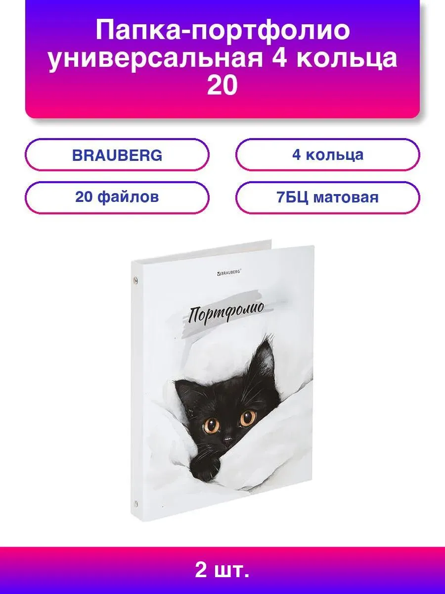 2шт. Папка-портфолио универсальная 4 кольца 20 файлов 7БЦ