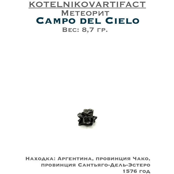 Коллекционный образец метеорит Campo del Cielo