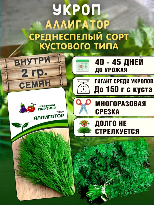 Агрофирма Партнер Семена Укропа Аллигатор кустовой 2уп, зеленый, фото 2