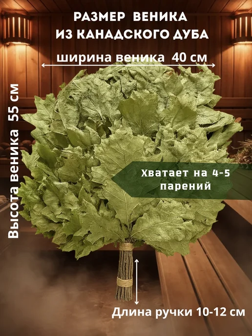 Mr.Forest Веники для бани канадский дуб и кленовый, Веники канадский дуб и, фото 2