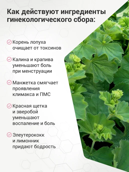 Биолит. Природная аптека Сибири Напиток чайный травяной гинекологический, фильтр-пакеты №20, вариант, фото 3