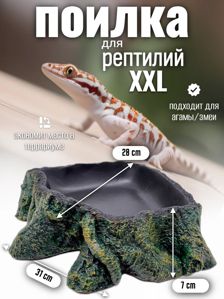 Кормушка поилка для рептилий угловая большая