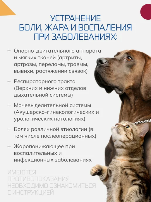 Nita-Farm Вемелкам, 20 мл, 20 мл, фото 2