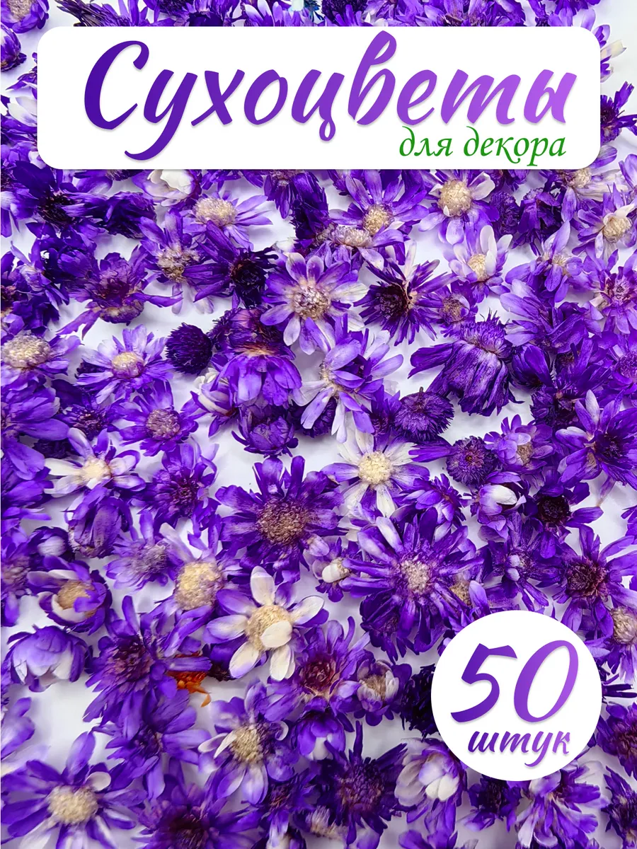 Сухоцветы