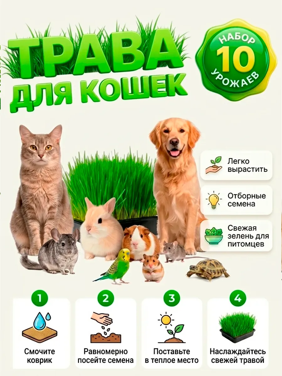 Трава для кошек проращивания