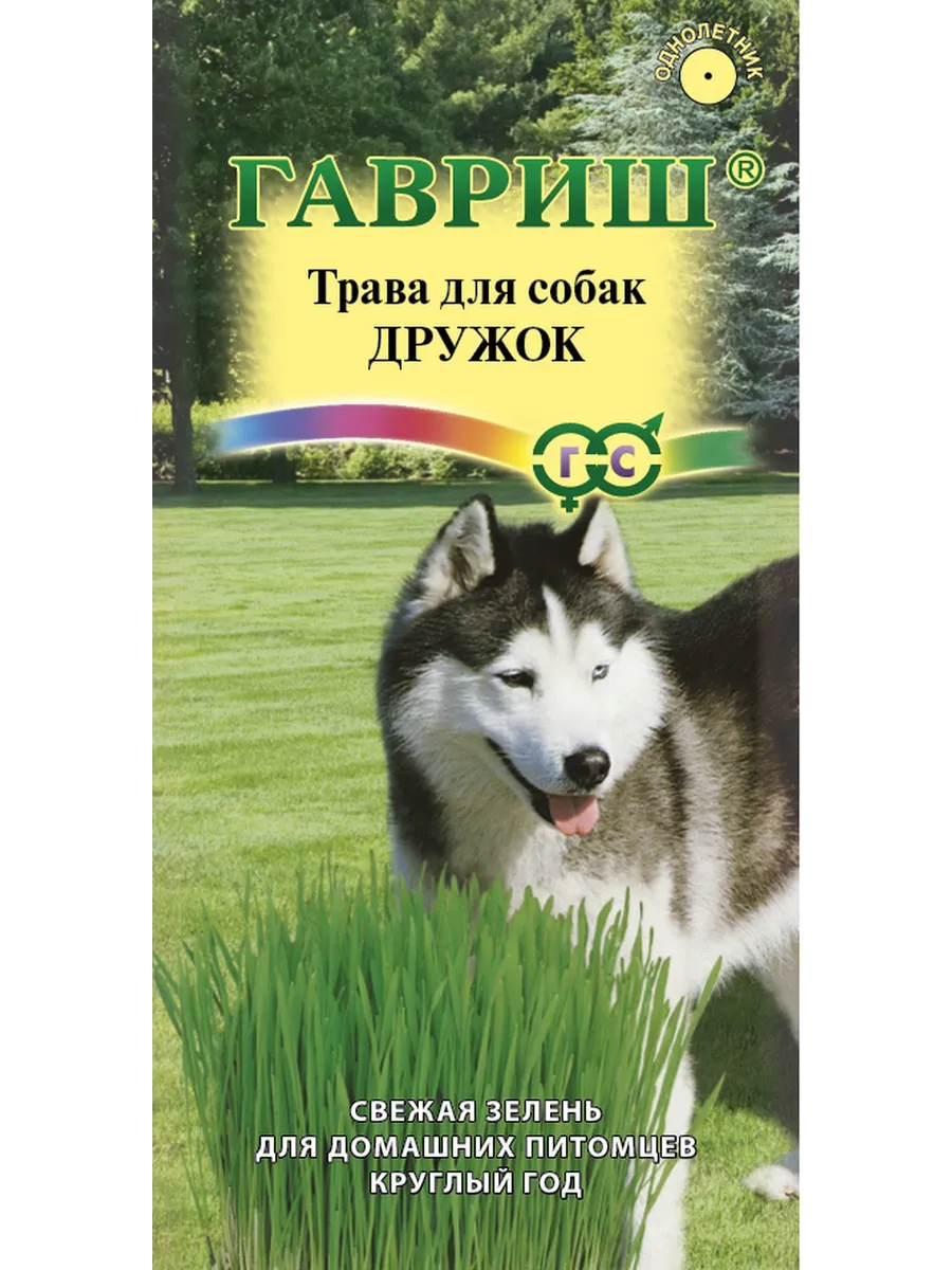 *Трава для собак Дружок