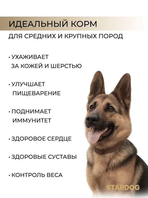 Сухой корм STARDOG Эконом для собак, крупные, средние, 10 кг, фото 3
