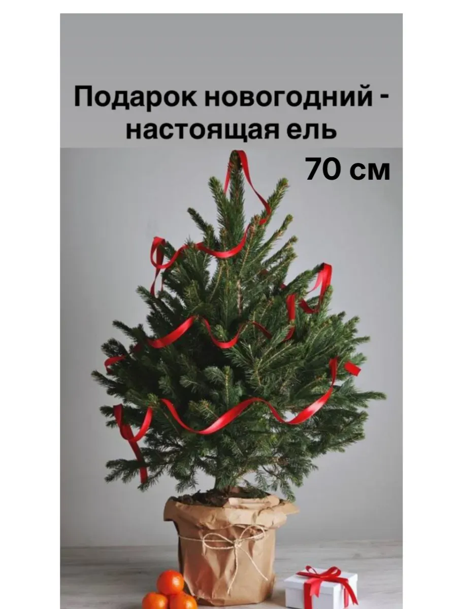 Елка 70см маленькая настольная натуральная 1шт