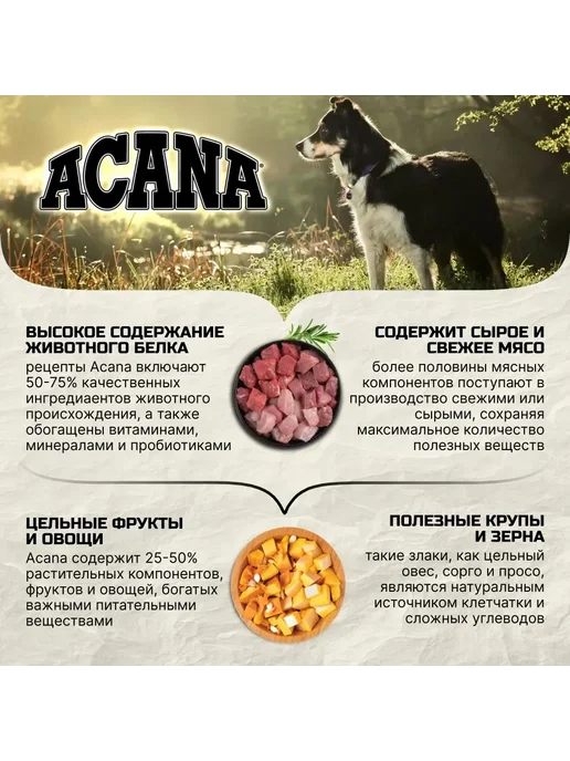 Сухой корм ACANA_Акана Acana Dog для собак, беззерновой, ягненок, 17 кг, фото 4