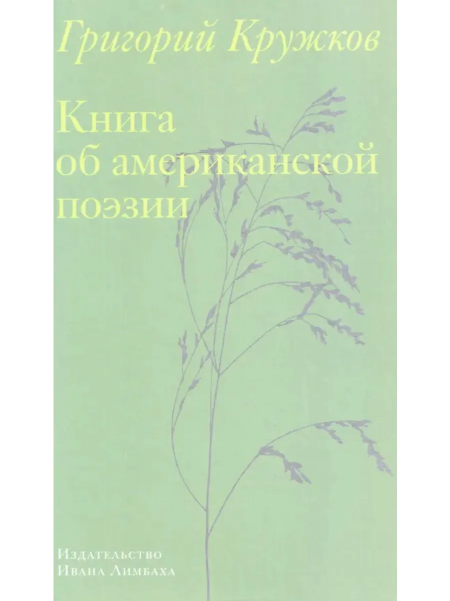 Книга об американской поэзии