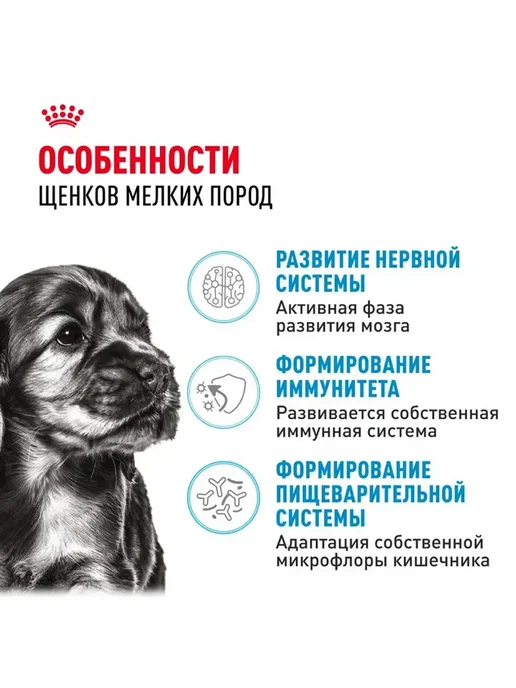 Сухой корм Royal canin Набор Влажный для собак, мелкие, щенки, 4 кг, фото 2