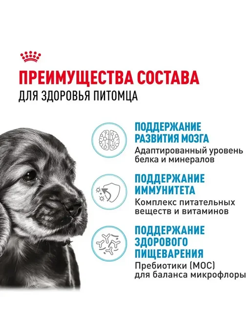 Сухой корм Royal canin Набор Влажный для собак, мелкие, щенки, 4 кг, фото 3