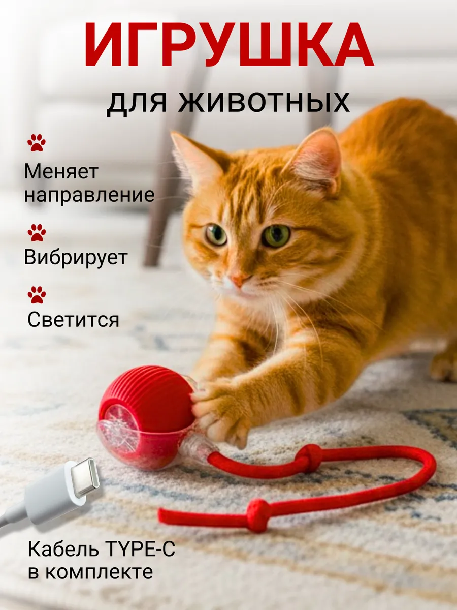 Игрушка для кошек Шар