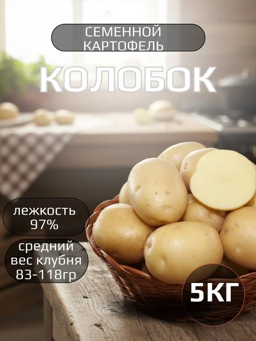 Картофель 21 Семенной картофель на посадку Колобок 5 кг, 5 кг