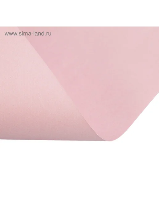 Бумага Бумага для оргтехники Цветная A4, 80 г/м², 250 листов, ассорти 5 цветов, фото 5