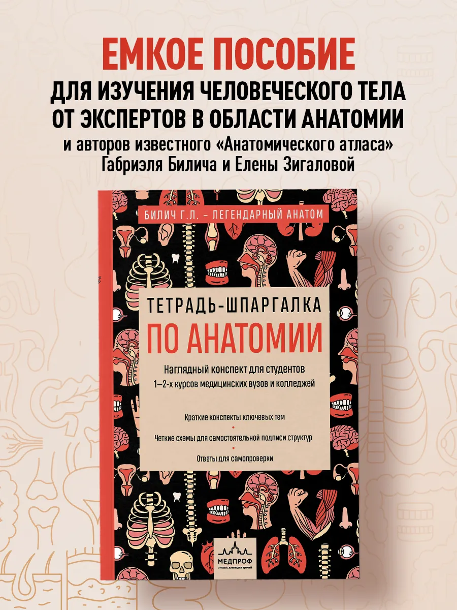 Тетрадь-шпаргалка по анатомии