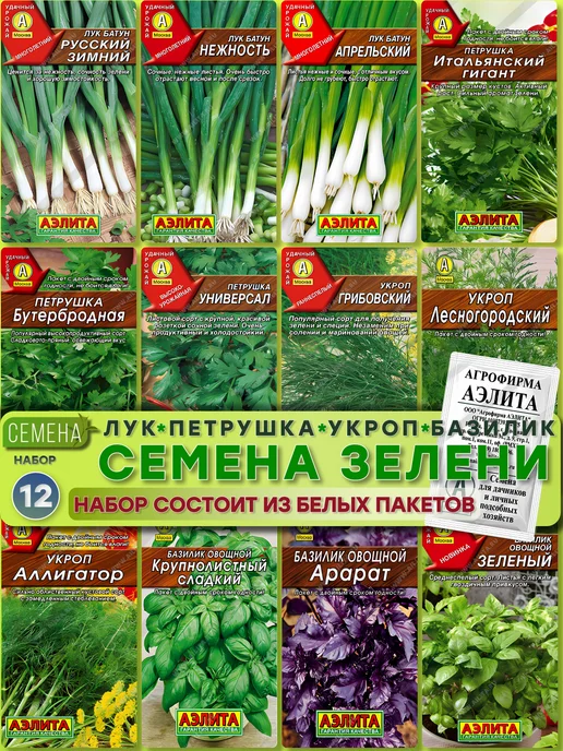 Агрофирма АЭЛИТА Семена зелени 12 шт, 12 шт
