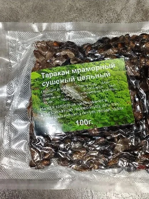 Таракан сушёный мраморный, вариант
