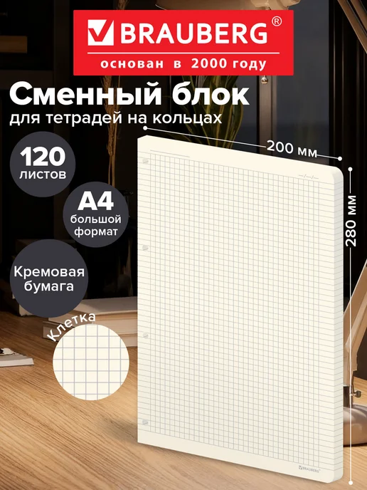 Brauberg Сменный блок для тетради на кольцах, А4 120 листов, кремовый, вариант
