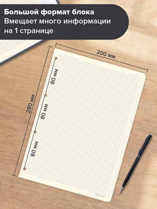 Brauberg Сменный блок для тетради на кольцах, А4 120 листов, кремовый, вариант, фото 3