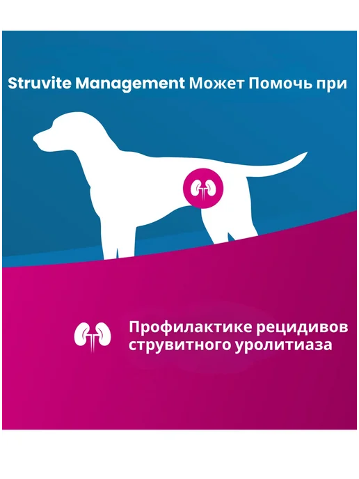 Сухой корм Farmina Vetlife Struvite для собак, 2,1 кг, фото 2