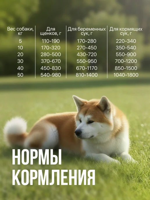 Сухой корм ХАТИКО Holistic Стартер для собак, щенки, 3 кг, фото 3