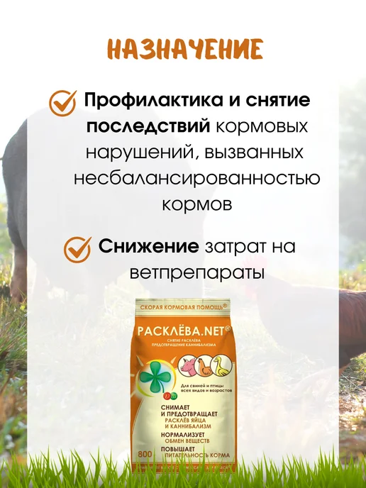 Дар Велеса Премикс Расклёва Net 800 гр, 800 г, фото 2