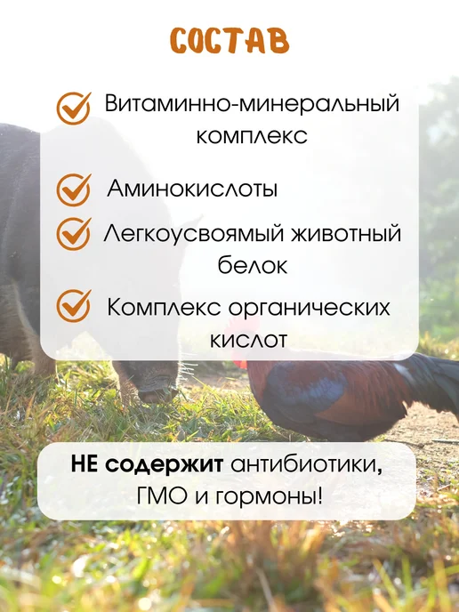 Дар Велеса Премикс Расклёва Net 800 гр, 800 г, фото 4