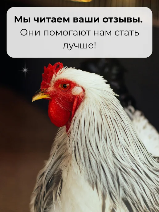 Дар Велеса Премикс Расклёва Net 800 гр, 800 г, фото 6