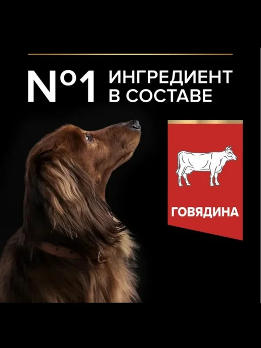 Сухой корм PRO PLAN Комбо-Набор для собак, мелкие, 2,5 кг, фото 4