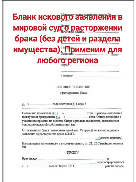 Бланк искового заявления в суд о расторжении брака, 3 шт