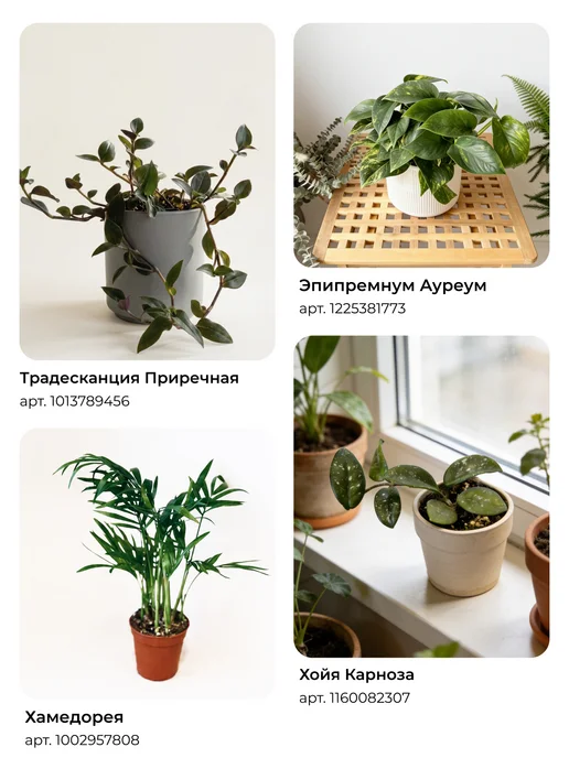 sinitsa_leaf Авторский профессиональный грунт универсальный 2 литра, вариант, фото 6