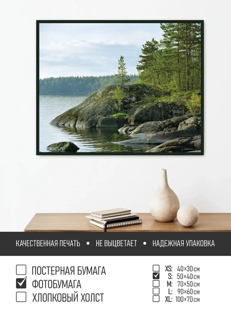 Постер на фотобумаге Лес у озера в карелии, 50х40 см