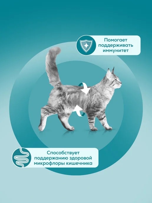 PURINA ONE Влажный корм для стерилизованных кошек, 75 г х 52 шт, 75 г, 52 шт, фото 4