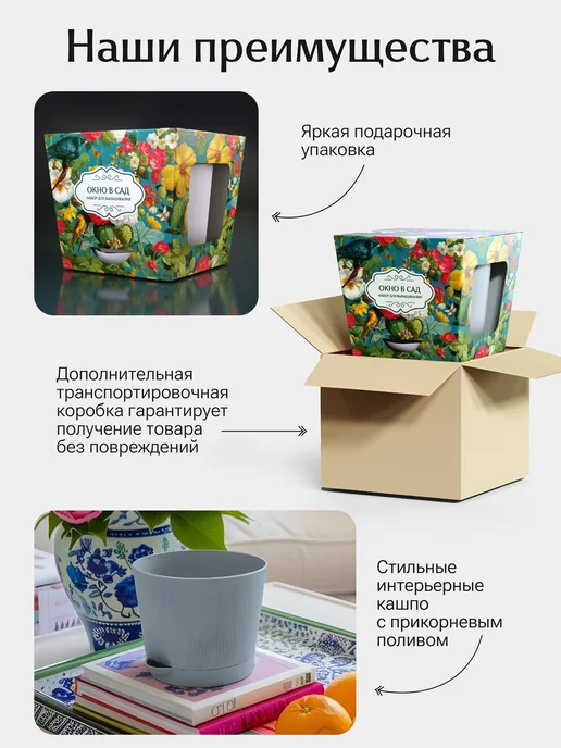 Окно в сад Обезьяний цветок Набор для выращивания, вариант, фото 3