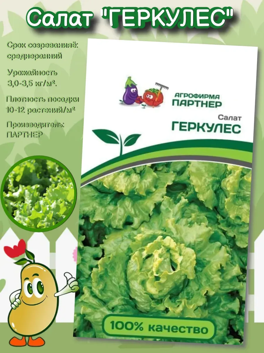 2025 год Семена Салат "ГЕРКУЛЕС"