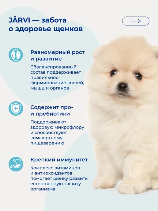 Сухой корм Jarvi elaman Стартовый Набор для собак, щенки, 0,74 кг, фото 4