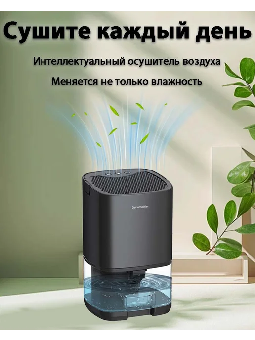 Осушитель воздуха для дома бытовой поглотитель влаги, черный, фото 3